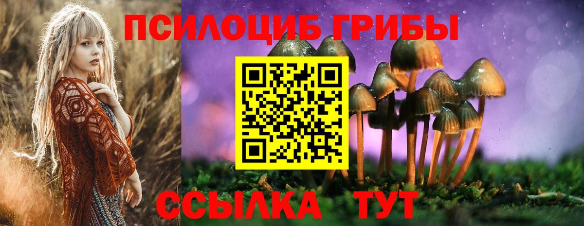 Псилоцибиновые грибы Magic Shrooms  Вход с VPN  цены   Галлюциногенные грибы GOLDEN TEACHER  Фурманов 